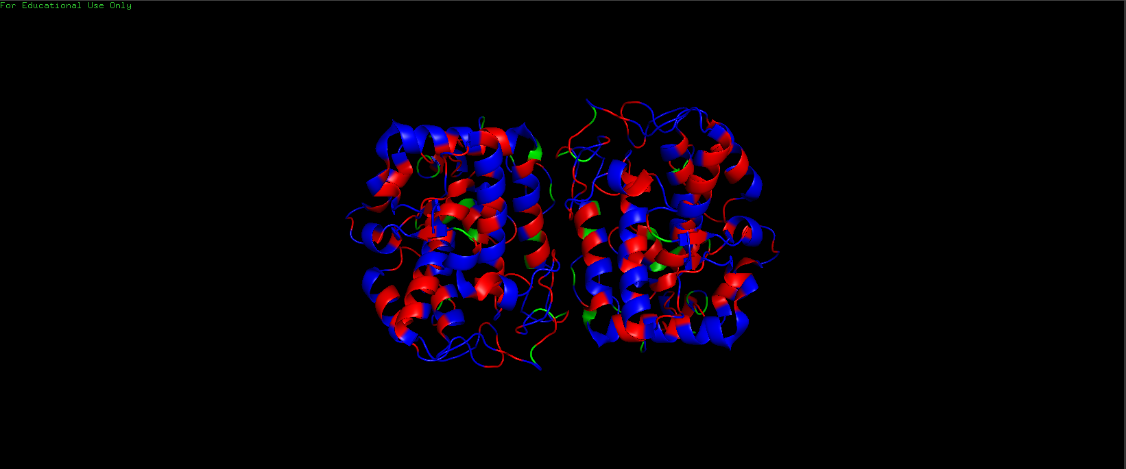 Tyrosinase Hydrophilic vs Hydrophobic